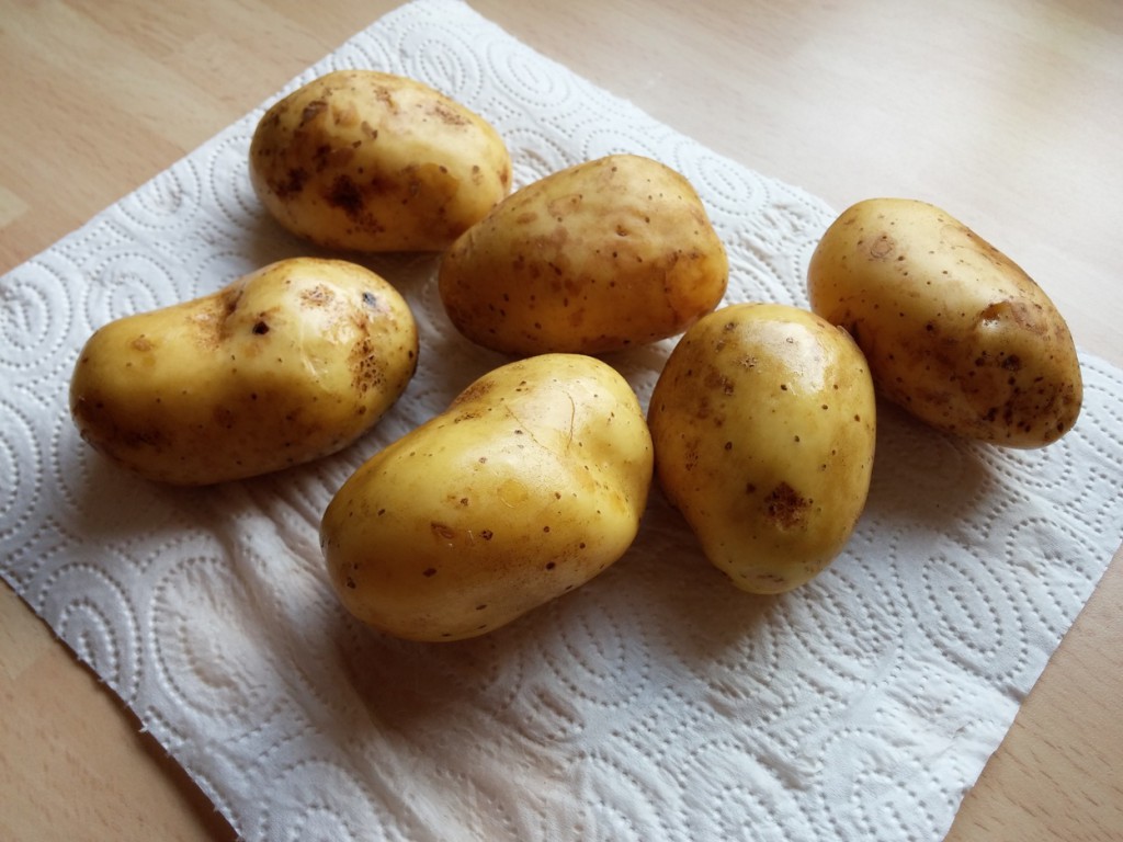 Kartoffeln aus privatem Anbau - herrlich!