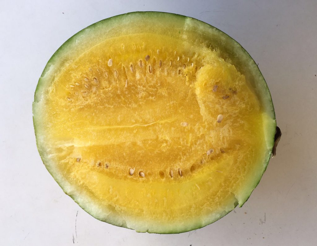 Ananasmelone