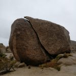Imposante Felsen im Joshua Tree National Park